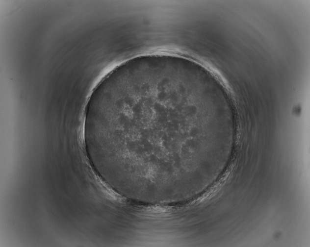 X0000099301224200805090946