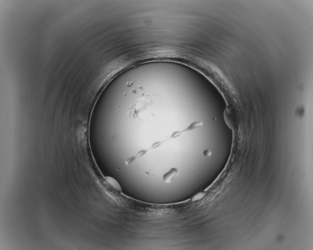 X0000099301225200805090946