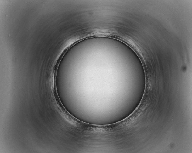 X0000099301227200805090946