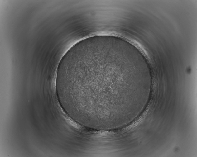 X0000099301228200805090946