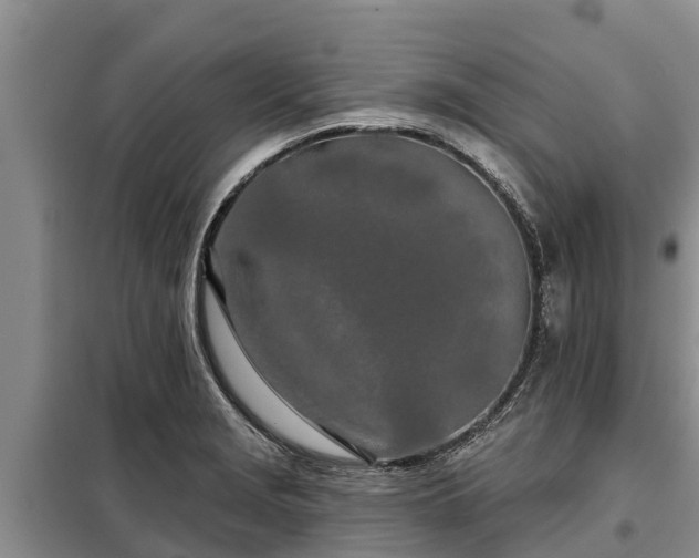 X0000099301229200805090946