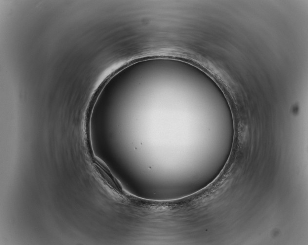 X0000099301230200805090946