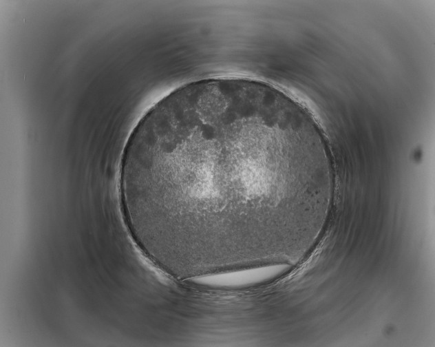 X0000099301231200805090946