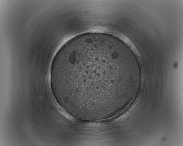 X0000099301232200805090946