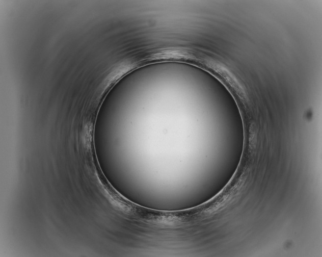 X0000099301233200805090946