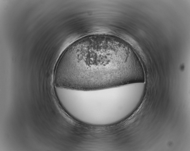 X0000099301234200805090946