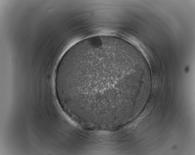 X0000099301235200805090946