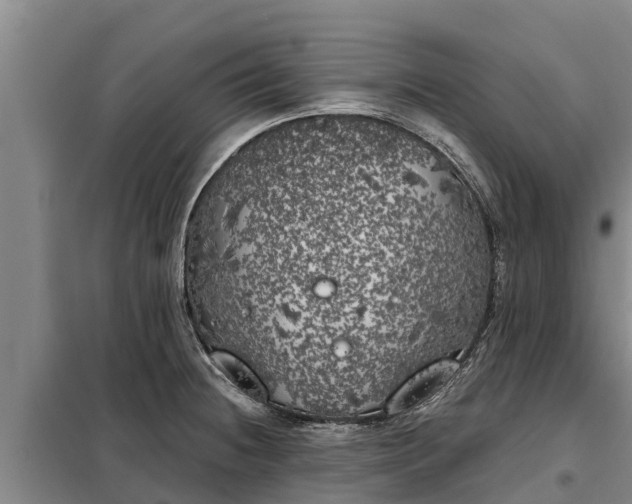 X0000099301236200805090946