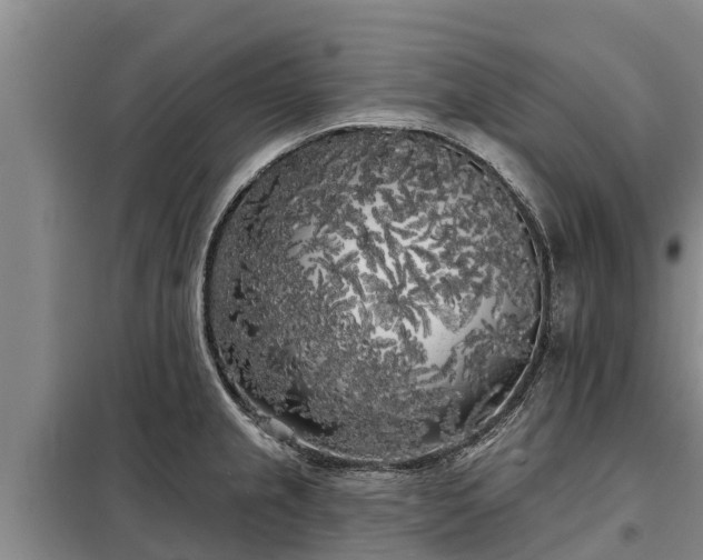 X0000099301237200805090946