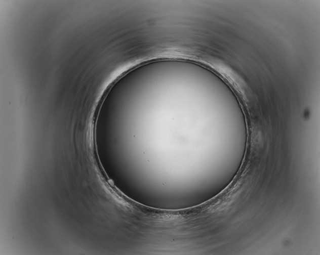 X0000099301238200805090946