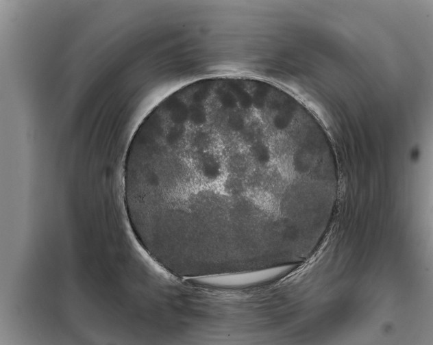 X0000099301239200805090946