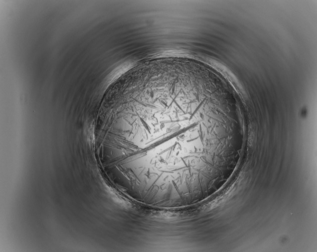 X0000099301241200805090947