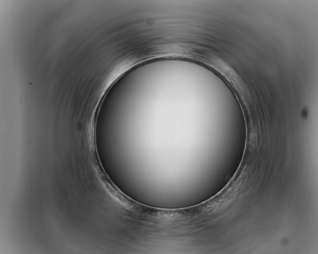 X0000099301242200805090947