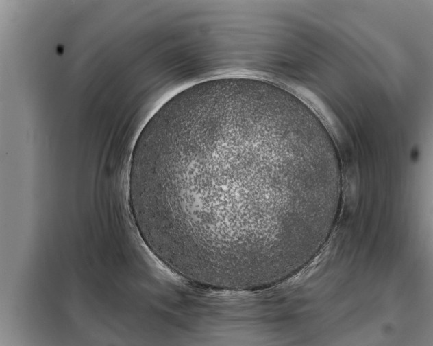 X0000099301244200805090947