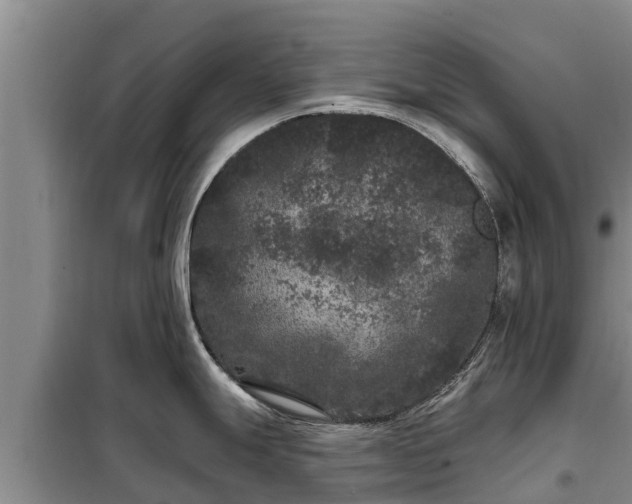 X0000099301247200805090947