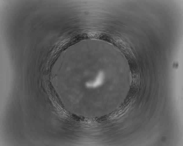 X0000099301249200805090946