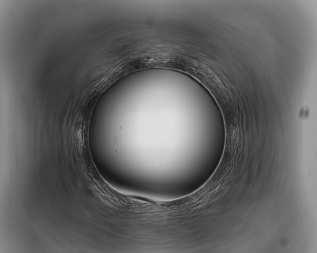 X0000099301250200805090946