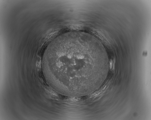 X0000099301251200805090946