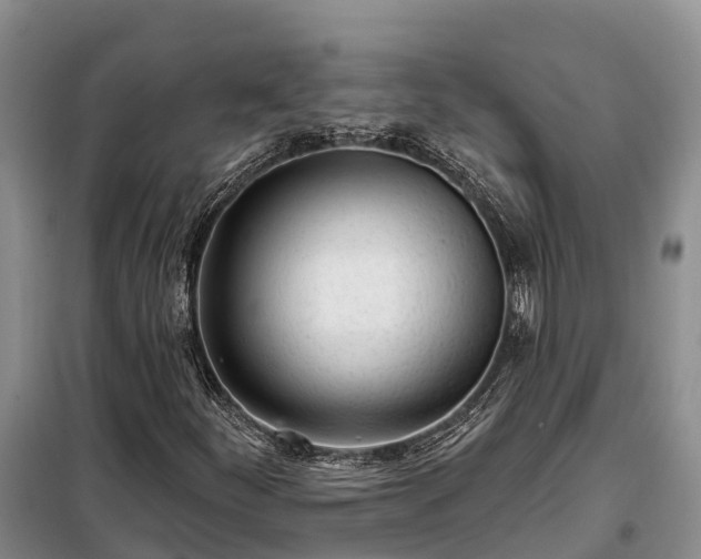 X0000099301252200805090946