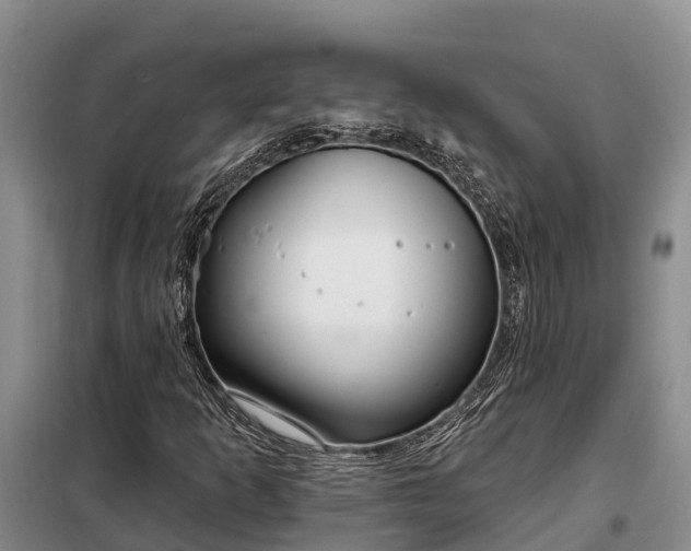 X0000099301253200805090946