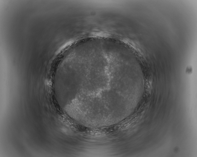 X0000099301254200805090946