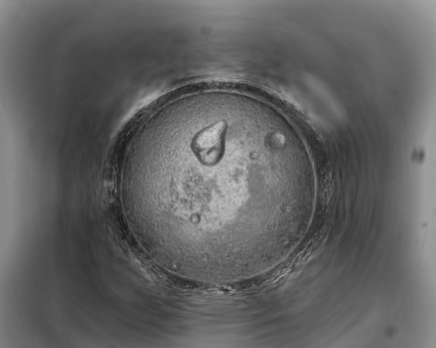 X0000099301255200805090946