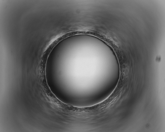 X0000099301256200805090946