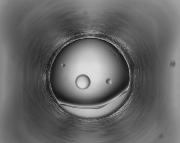 X0000099301257200805090946