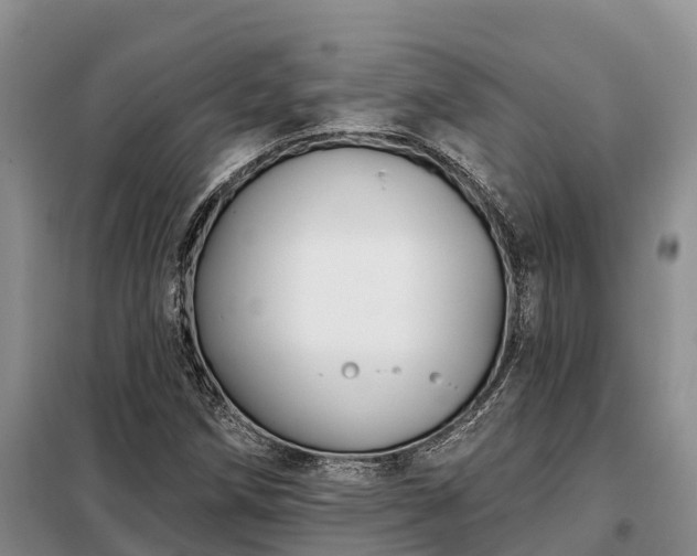 X0000099301258200805090946