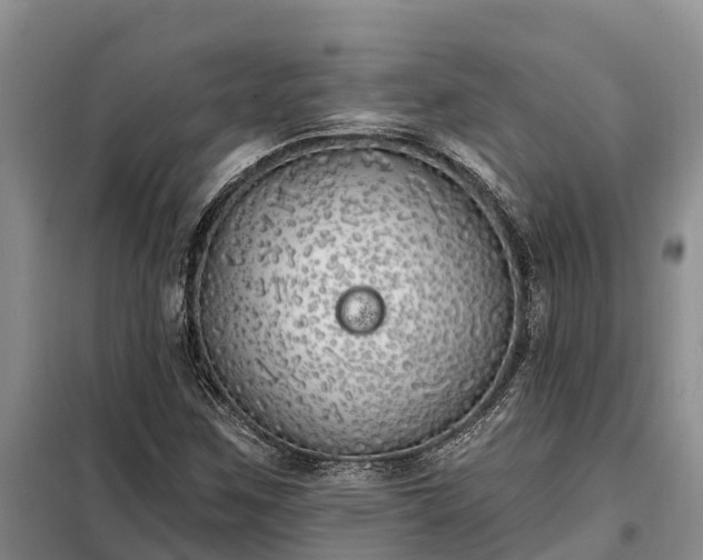 X0000099301259200805090946