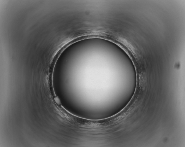 X0000099301260200805090946