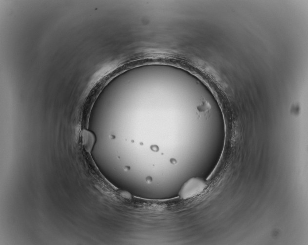 X0000099301261200805090946