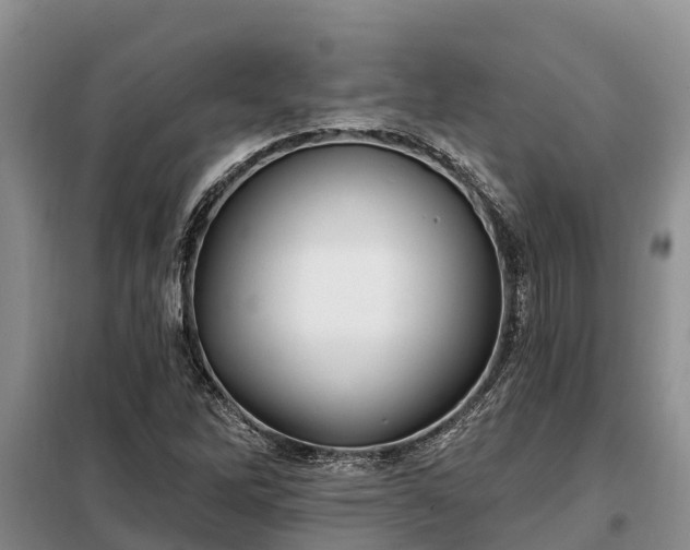 X0000099301262200805090946