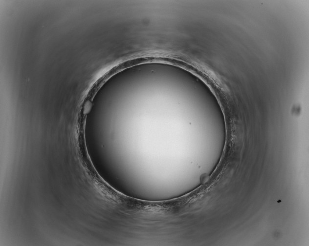 X0000099301264200805090946