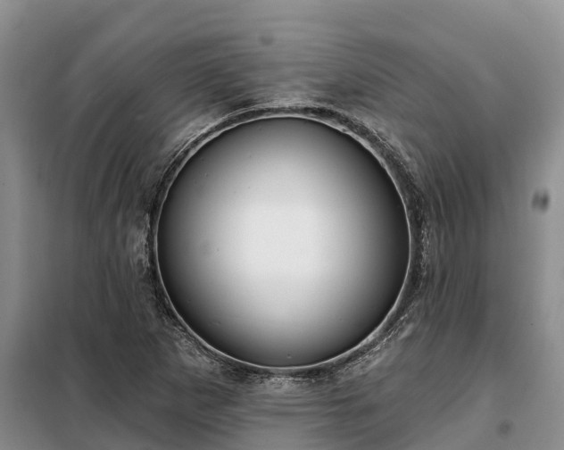 X0000099301265200805090946