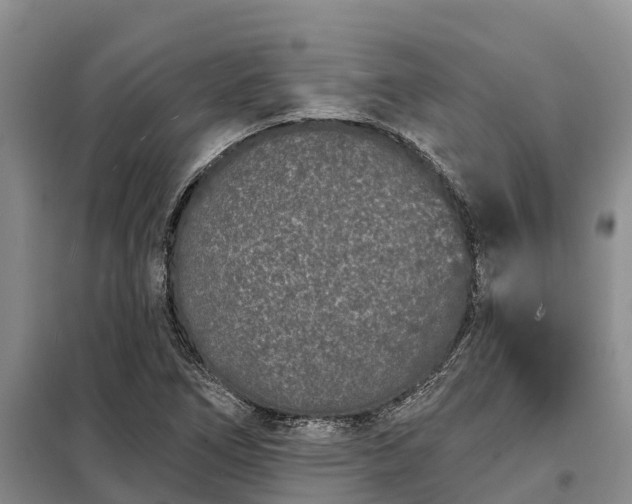 X0000099301266200805090946