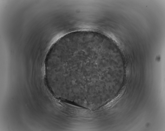 X0000099301267200805090946