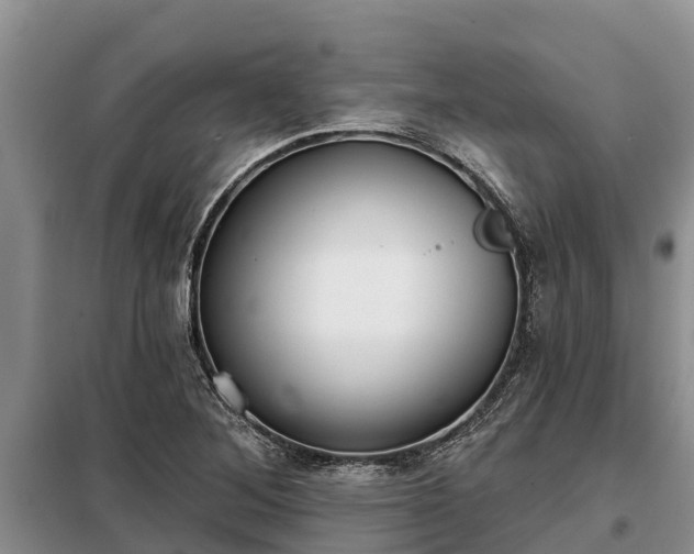 X0000099301268200805090946