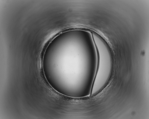 X0000099301269200805090946