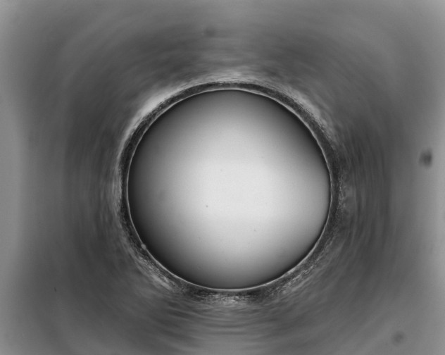 X0000099301270200805090946