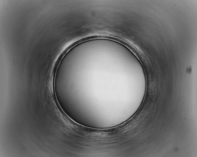 X0000099301272200805090946