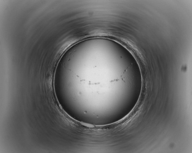 X0000099301273200805090946