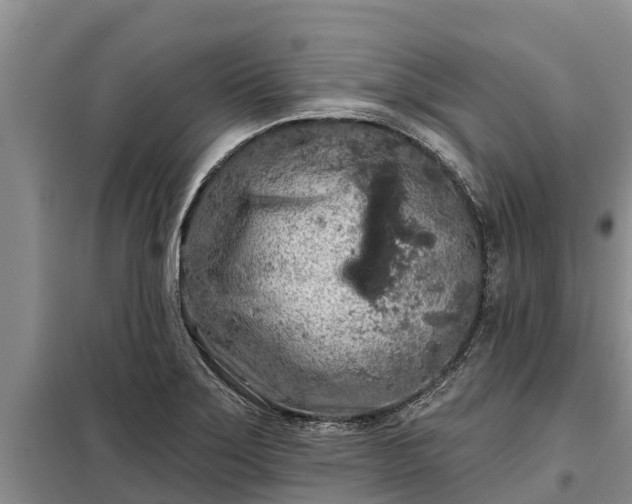 X0000099301275200805090945