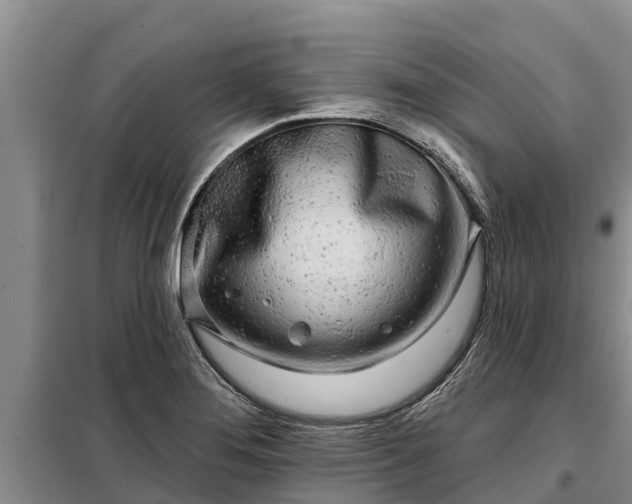 X0000099301276200805090945