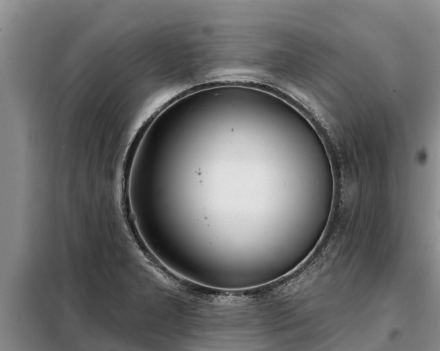 X0000099301277200805090945