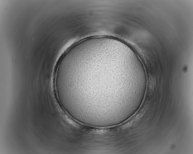 X0000099301278200805090945