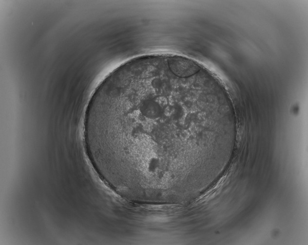 X0000099301279200805090945