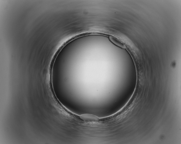 X0000099301280200805090945