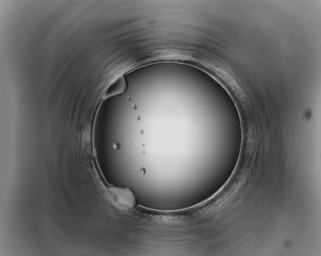 X0000099301281200805090945