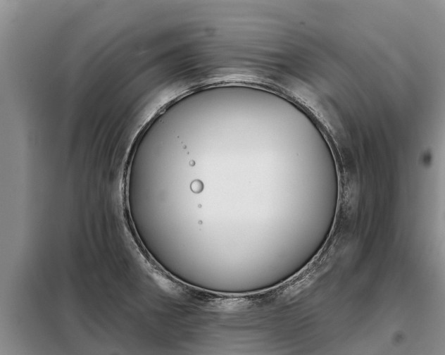 X0000099301282200805090945